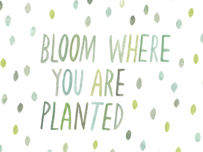 bloom where you are planted / watercolor illustration illustration painting quote watercolor