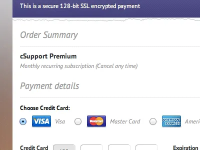 Payment Form credit card form order payment processing summary