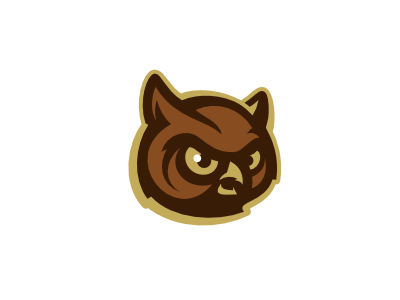 Owls bird brown gold owl sports