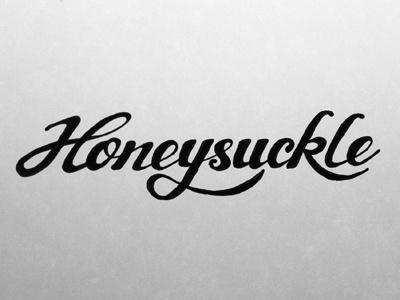 Honeysuckle Type Inked custom lettering hand drawn type typography