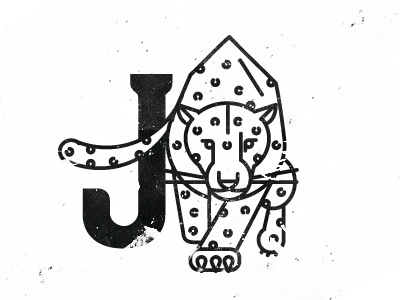 J animal alphabet project big cats grrrrr jaguar pounce