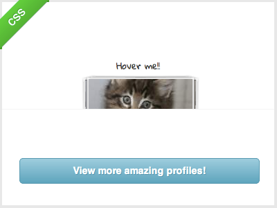 Profile Views [CSS] animation css kitten loupe shot placekitten rebound thumbnails transform