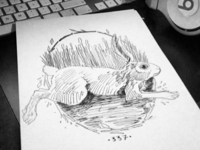 Sketchy 336 337 afi afireinside black illustration progress rabbit