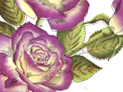 Painted Delight digital painting invitation rose wedding