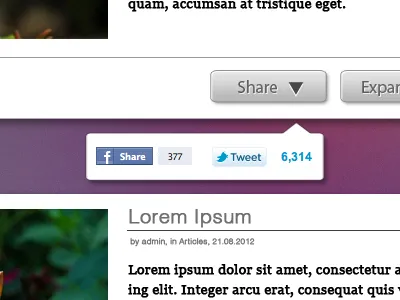 Minimal Share function bubble button interface photoshop share social widget