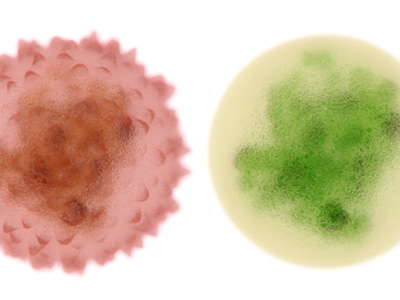 Cells, cells 3d cinema4d vray