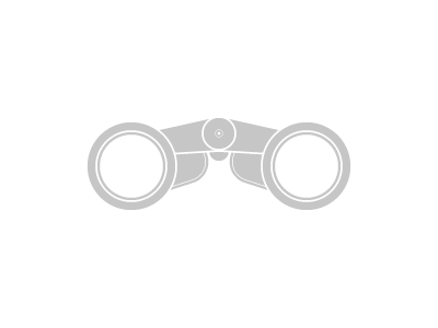 Binoculars icon vector