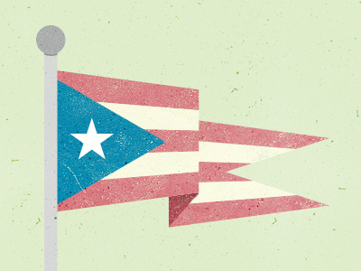 Flag Illustration america flag illustration micahburger star texture