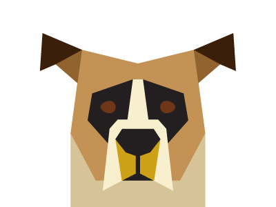 Boxer 365 boxer dog illustration minimalist