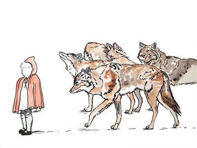 the big bad pack of coyotes animals drawing illustrations watercolour