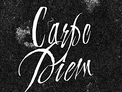 Carpe Diem carpediem inverted notyolo rough texture