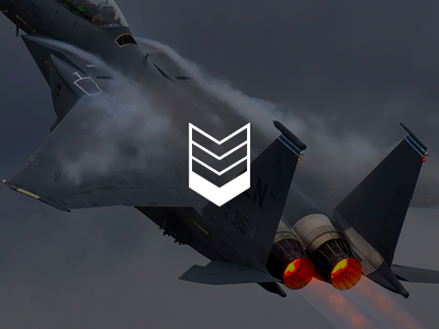 Strike Eagle branding f15 logo mark personal simple site white