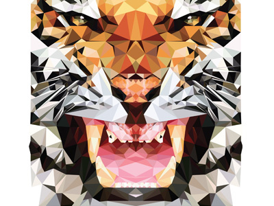 Triger animal colour hopelittle illustration illustrator tiger triangles triger