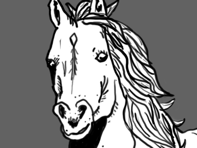 Horse Line Drawing line drawing wacom