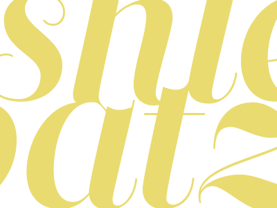 batz close up branding identity script typography