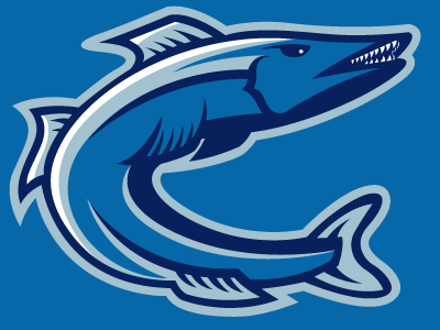 Oooh Barracuda athletic logo barracuda branding sports