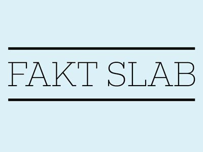 Fakt Slab fonts slab serif type