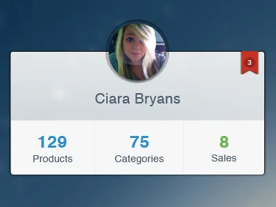 Mini Profile Overview categories notification products profile sales stats ui