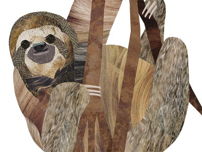 Sloth collage sloth