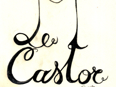 Le Castor castor font handwriting simonedebeauvoir typography