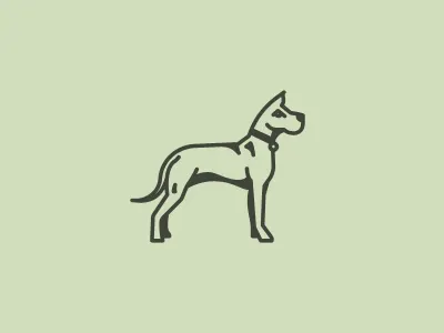 Great Dane. illustration