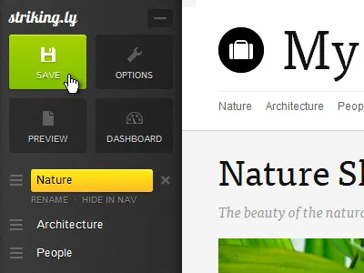 Strikingly Editor buttons css dashboard editor strikingly