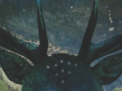 Mystery band project 2.0 antlers design forest mountains photography poster print texture