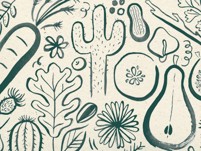 I heart plants flora flowers fruit hand done inked leaves plants