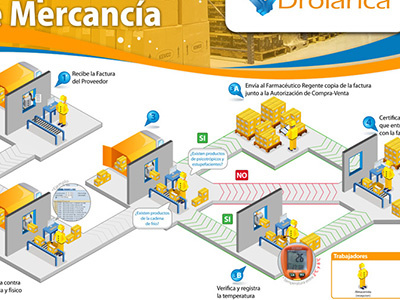 Infography illustrator infography vector