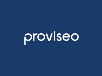 Proviseo Wordmark branding corporate design identity design logo mark