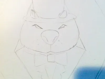 Classy Wombat logo sketch wombat