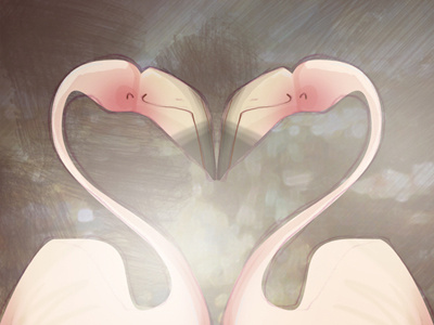 Flamingo-a-go-go birds cute flamingo heart love pink