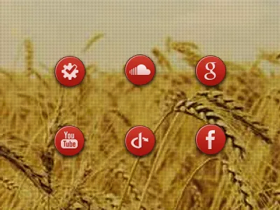 Social Icons circle icon icons red
