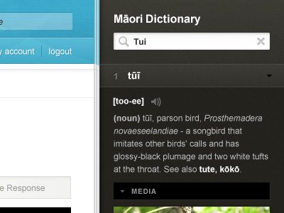 Dictionary Detail black blue dictionary exercise grey icon interface language learning maori nav search sidebar web white