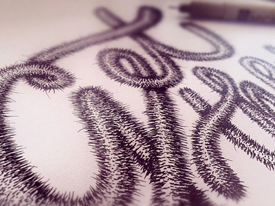 Hairy type type typography