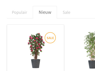 Ambiplants webshop detail active ambiplants e commerce green hover label new nieuw plants popular products sale shop tabs thomas schrijer webshop