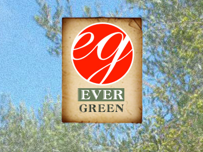 Evergreen Logo brand identity logo design olive oil