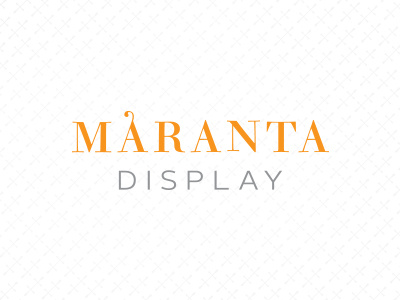 Maranta Display Proposal A boutique branding logo online store