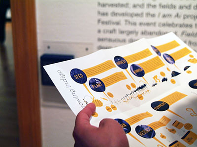 Spotted in the Wild booklet indigo infographic information visualization pamphlet
