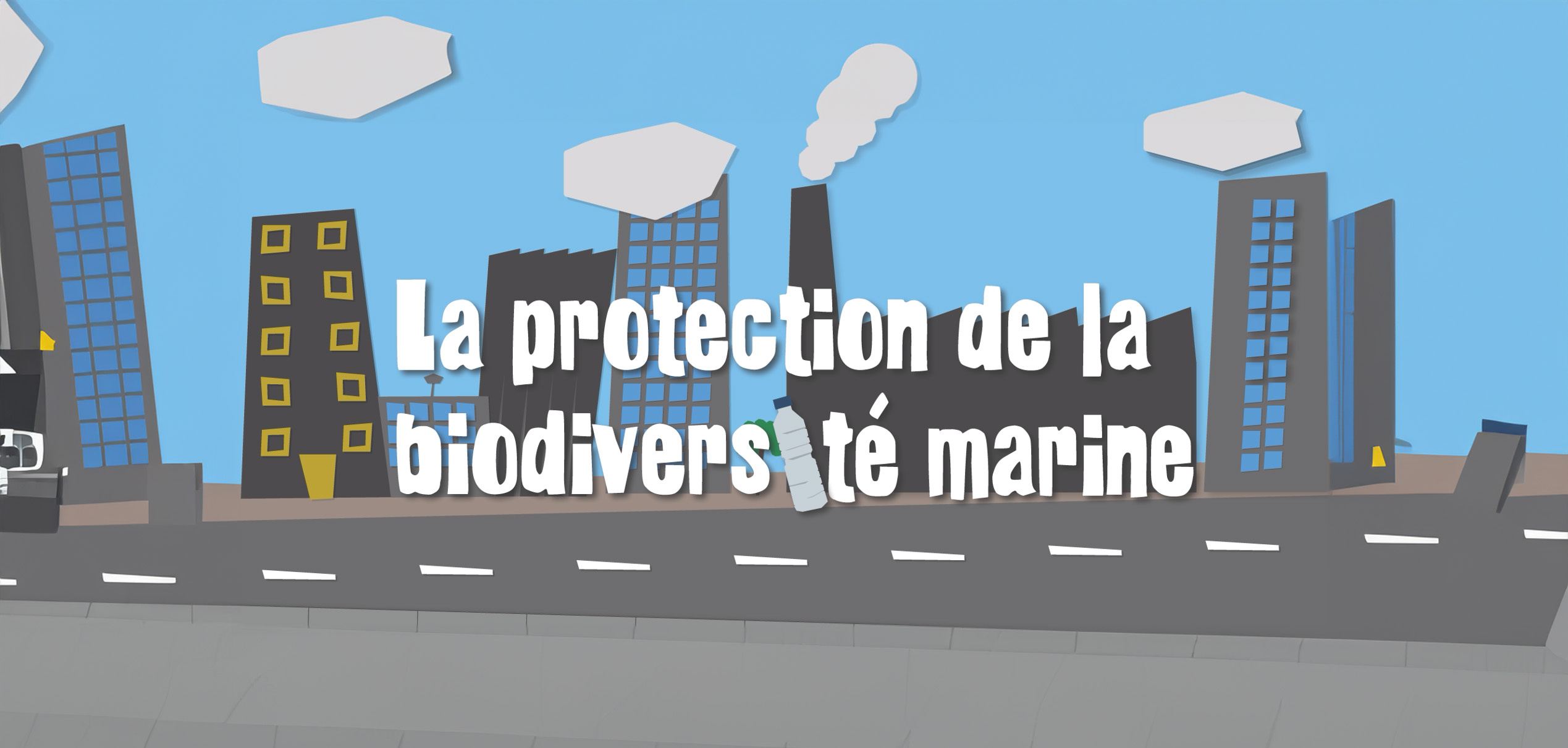 Smartdata - La protection de la biodiversité marine (FRENCH) animation graphic design motion graphics ocean sea sea sheperd turtle video