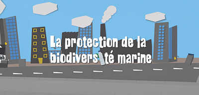 Smartdata - La protection de la biodiversité marine (FRENCH) animation graphic design motion graphics ocean sea sea sheperd turtle video