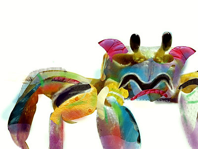 Mr. Crab Is Unhappy africa collage colorful colour crab fable illustration nigeria pixel fable story