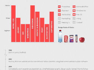 Portfolio Redesign - Skills Breakdown design graphs lukedidit sheffield web web design