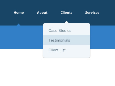 Proviseo Navigation branding ui ux web design wordpress