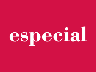 Especial Development bodoni branding design lettering logotype