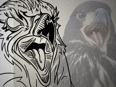 Transform bird eagle illustration vector