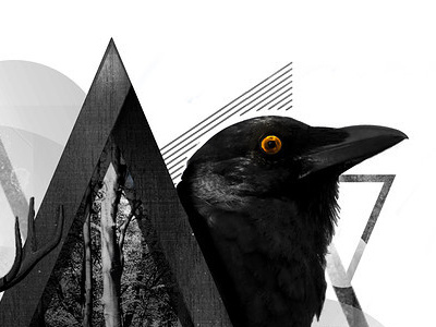 Outside abstract crow outside