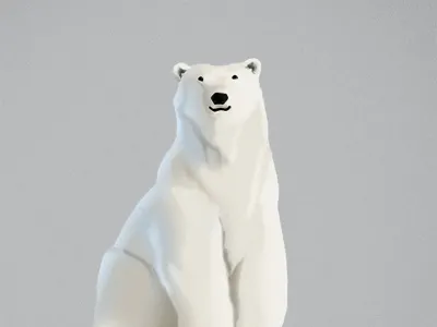 Polar bear bear gray grey polar snow