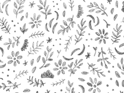 pattern no.2 / floral floral hand drawn pattern