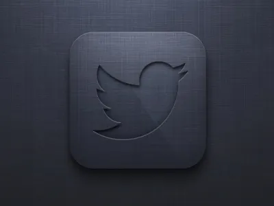 Twitter Icon app bird icon iphone texture tweet twitter ui
